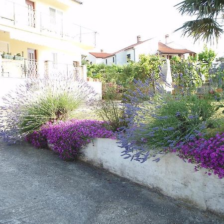 Guest House Jasmin Rovinj Kültér fotó
