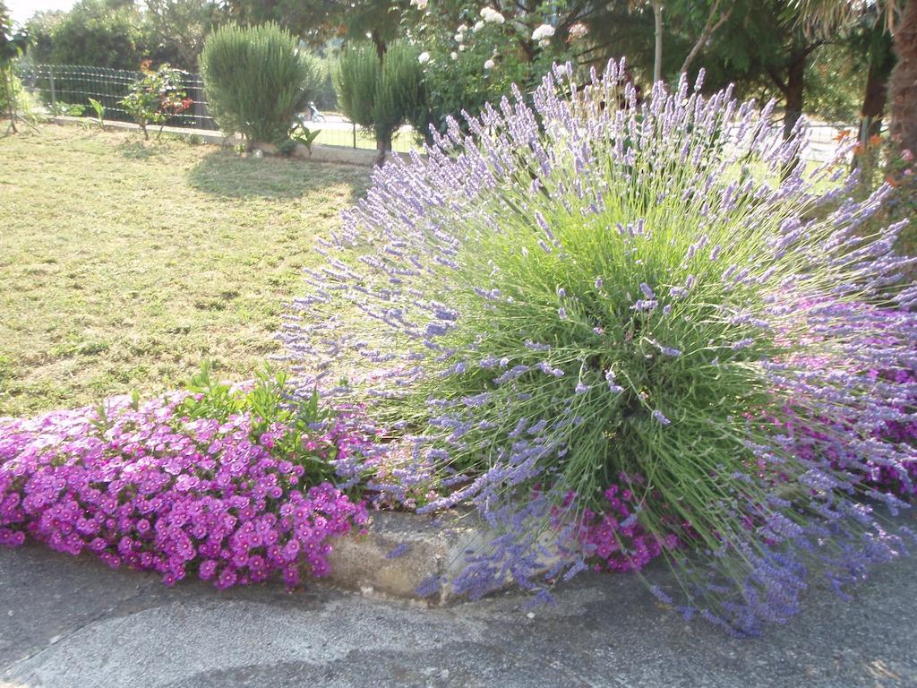 Guest House Jasmin Rovinj Kültér fotó